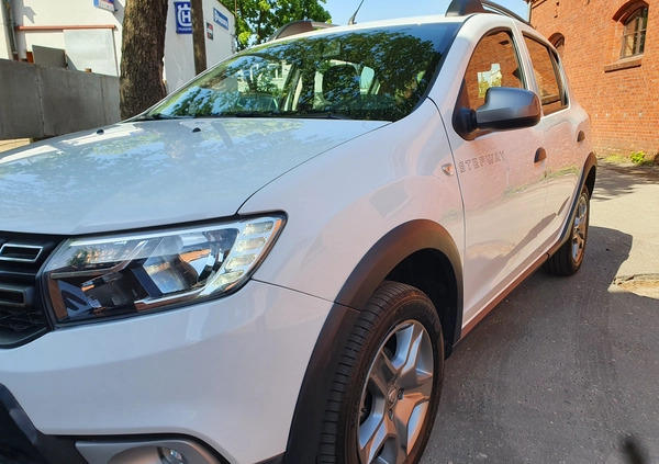 Dacia Sandero cena 41900 przebieg: 19000, rok produkcji 2019 z Małogoszcz małe 56
